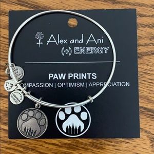 Alex and Ani Bracelet